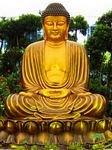 pic for Gautama Buddha
